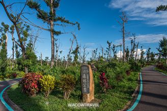 台東景點推薦-台東森林公園
