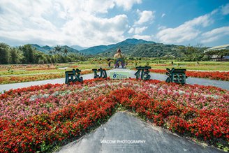 台東景點推薦-成功花海